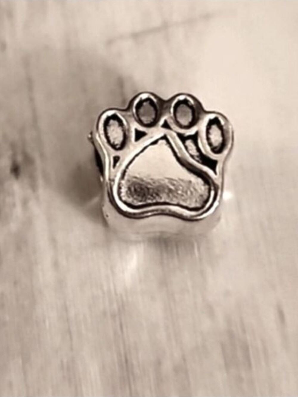 Paw Print Charm  Pandora Compatable2️⃣